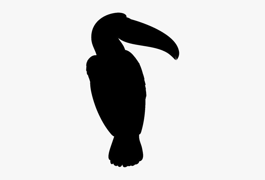 Toucan Png Transparent Images - Toucan, Png Download, Free Download