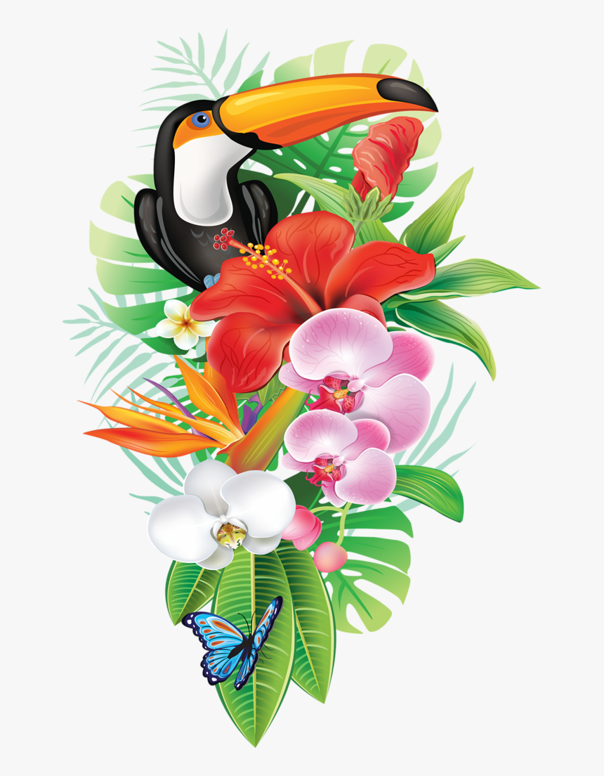 A D F - Tropical Png, Transparent Png, Free Download