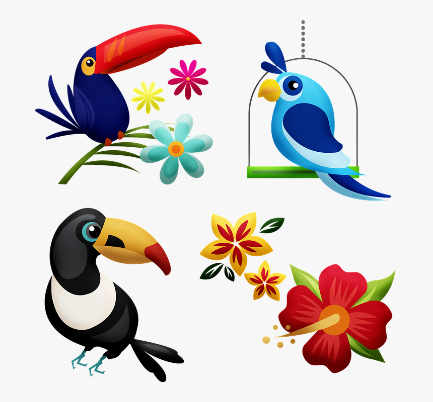 Tropical Birds, Toucan, Hibiscus, Bird, Rainforest - Cartoon Rainforest Birds, HD Png Download, Free Download
