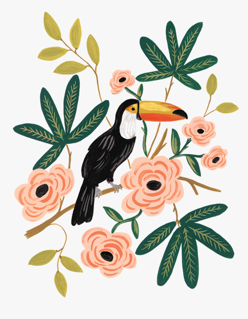 Transparent Toucan Png - Calendar Rifle Paper Co 2017, Png Download, Free Download