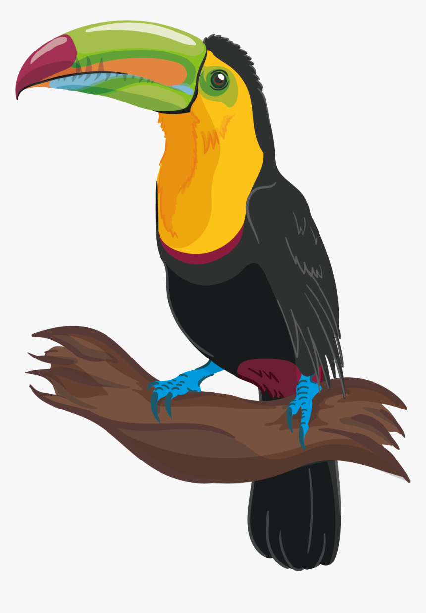 Clip Art Are Toucans Parrots - Bird Drawing With Colour, HD Png Download, Free Download