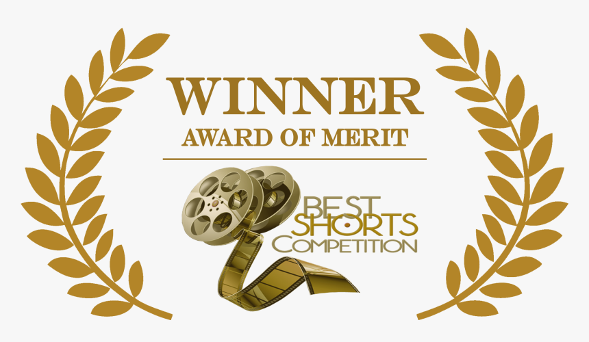 Project X Marks The Spot - Accolade Global Film Competition Award Of Merit, HD Png Download, Free Download