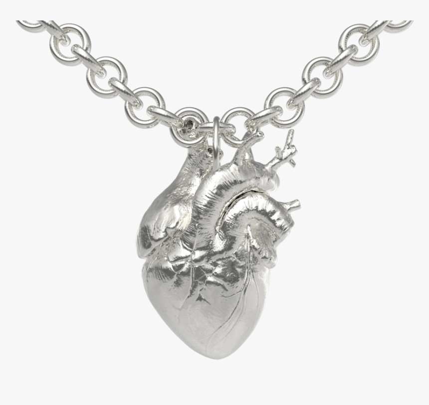 The Anatomical Heart - Stylish Letter, HD Png Download, Free Download