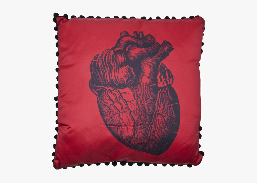 Cushion, HD Png Download, Free Download