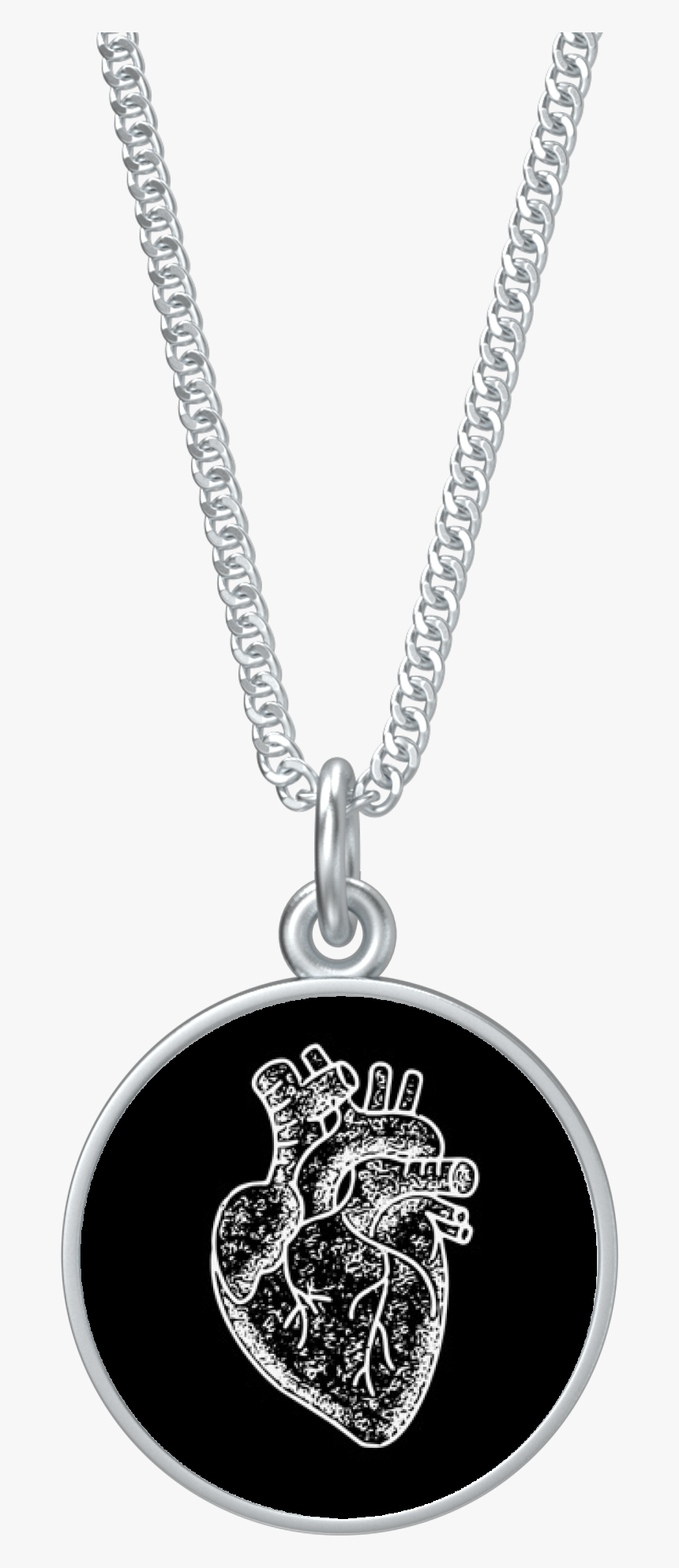 Anatomical Heart Coin Pendant On Chain - Locket, HD Png Download, Free Download