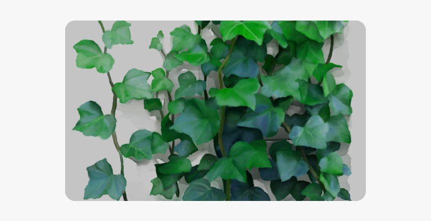 Vines, Climbing Plant Doormat 30"x18" - Png Climbing Vines, Transparent Png, Free Download