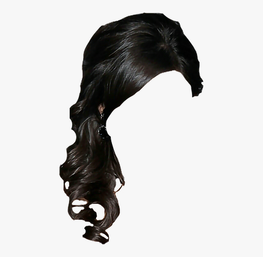 hairstyle #interesting #ponytail #black #hair #sticker - Hair Pony Tail Pics Transparent, HD Png Download - kindpng hairstyle #interesting #ponytail #black #hair #sticker - Hair Pony Tail Pics Transparent, HD Png Download - kindpng