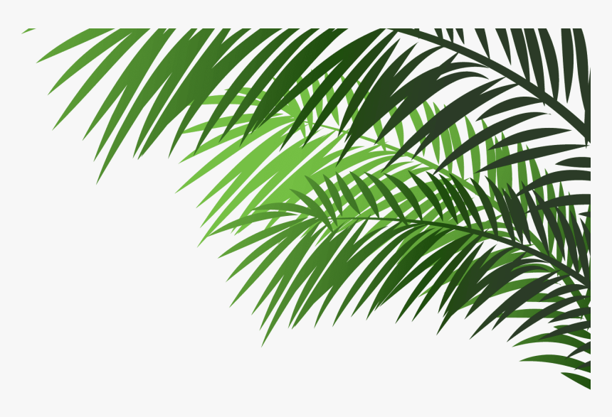 Palm Branch Transparent, HD Png Download, Free Download