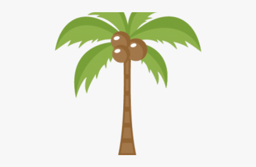 Transparent Background Palm Tree Clipart, HD Png Download, Free Download