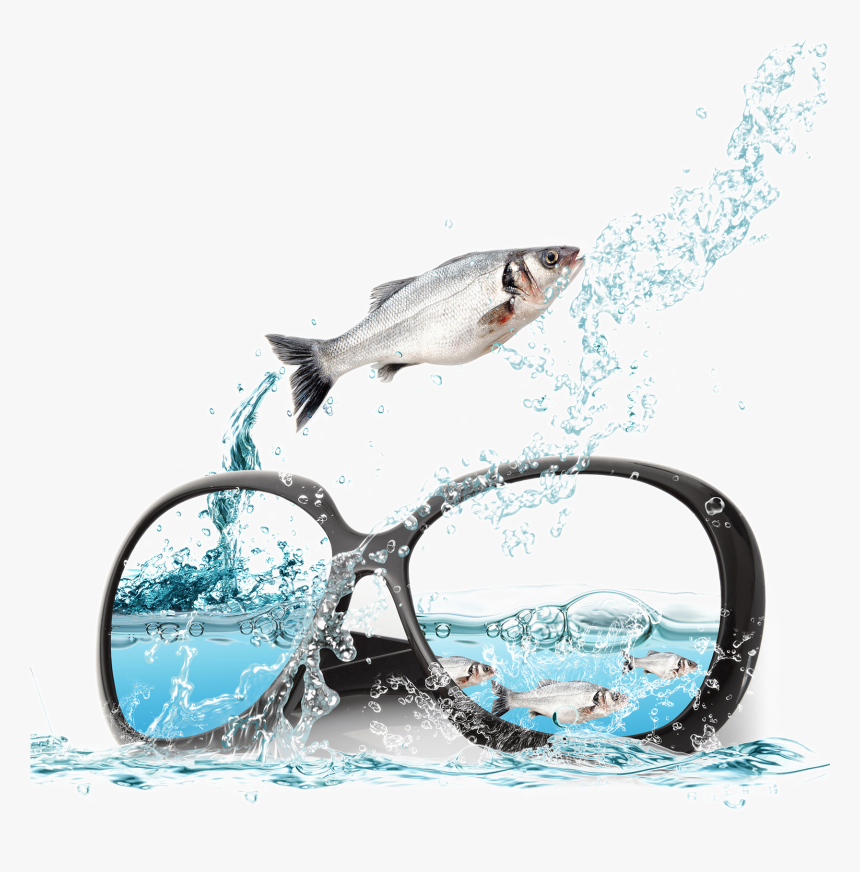 And Sunglasses Poster Fish Ocean Advertising In Clipart - Portable Network Graphics, HD Png Download, Free Download