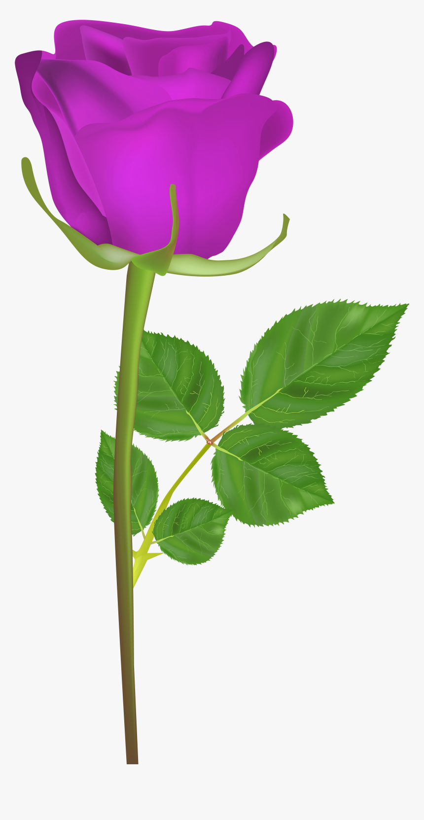 Rose With Stem Purple Png Clip Art Imageu200b Gallery - Single Rose Flower Hd, Transparent Png, Free Download