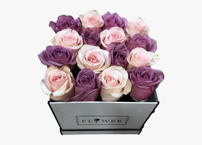 Pink And Purple Haven - Garden Roses, HD Png Download, Free Download