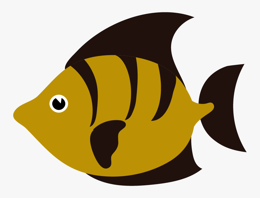 Coral Reef Fish, HD Png Download, Free Download