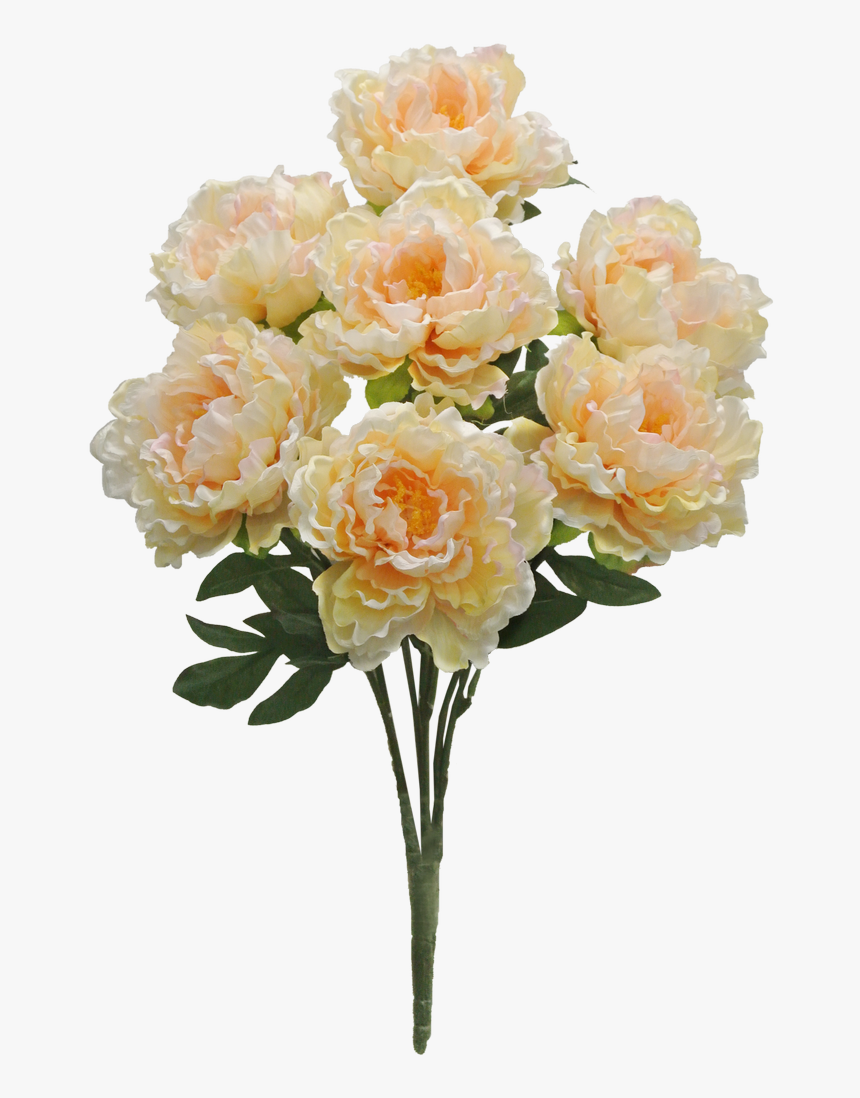 Garden Roses, HD Png Download, Free Download