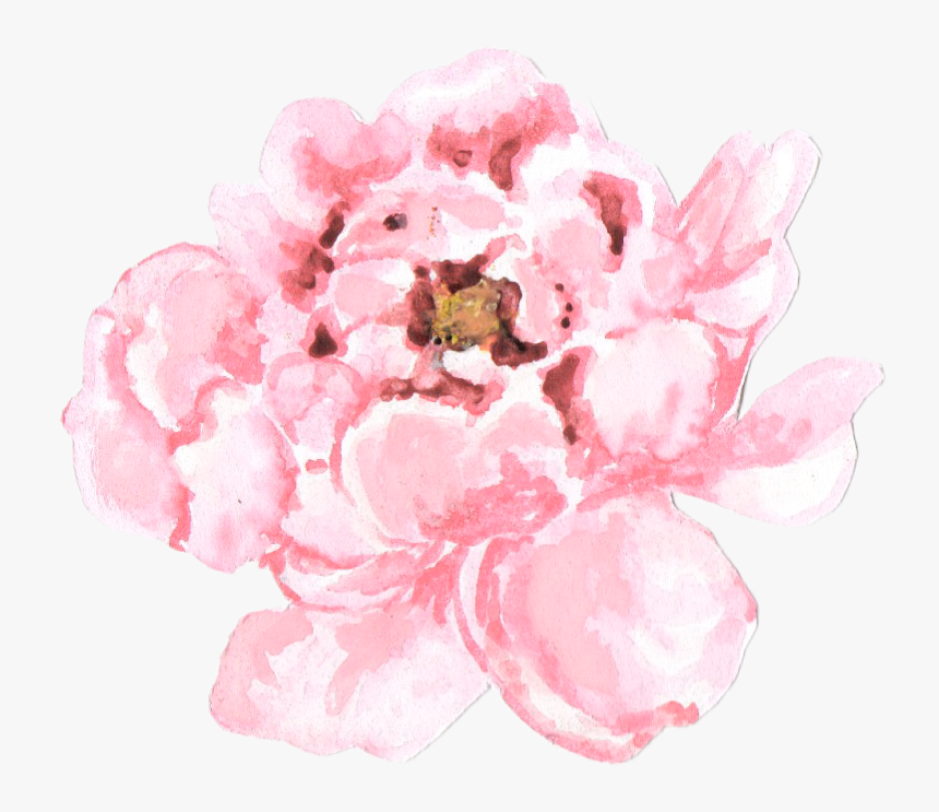 Png Pale Pink Peonies Transparent , Png Download - Watercolor Peonies Png, Png Download, Free Download