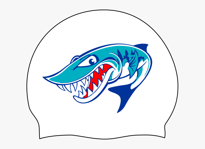 Bethesda Barracudas Logo - Pike Fish Cartoon, HD Png Download, Free Download