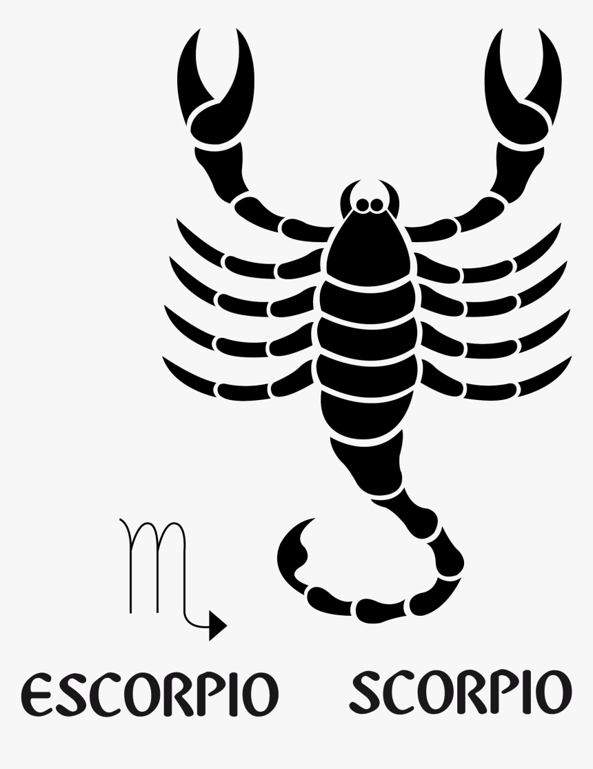 Zodiac Signs Symbols Scorpio, HD Png Download, Free Download
