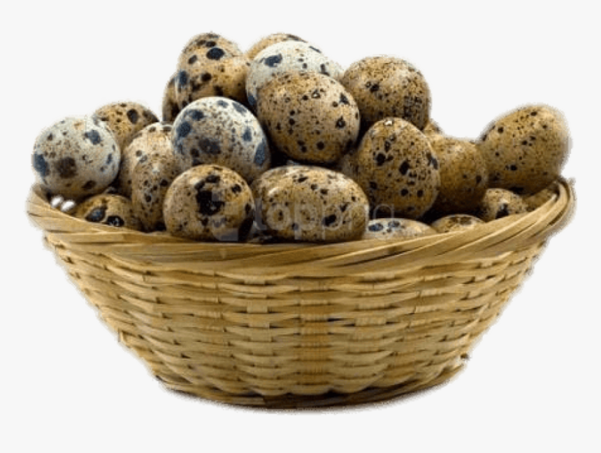 Download Basket Of Eggs Transparent Background - Quail And Her Eggs, HD Png Download, Free Download