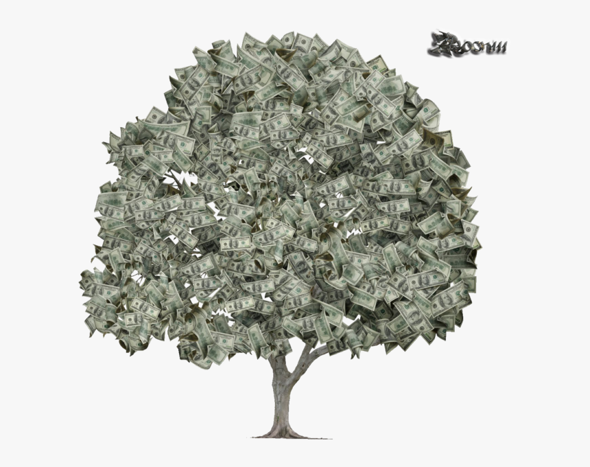 Transparent Money Tree Png - Funny Money Tree Meme, Png Download, Free Download