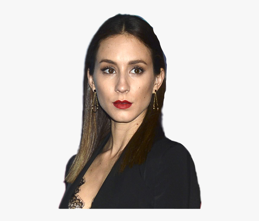 Troian Bellisario Where D You Go Bernadette - D You Go Bernadette Troian, HD Png Download, Free Download