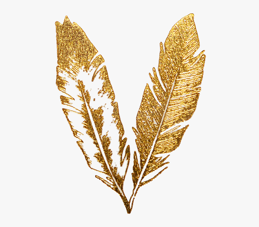 Feather Gold Flash Tattoo - Gold Feather Transparent Background, HD Png Download, Free Download