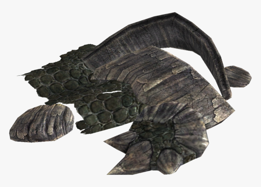 Transparent Skyrim Dragon Png - Escamas De Dragon Skyrim, Png Download, Free Download