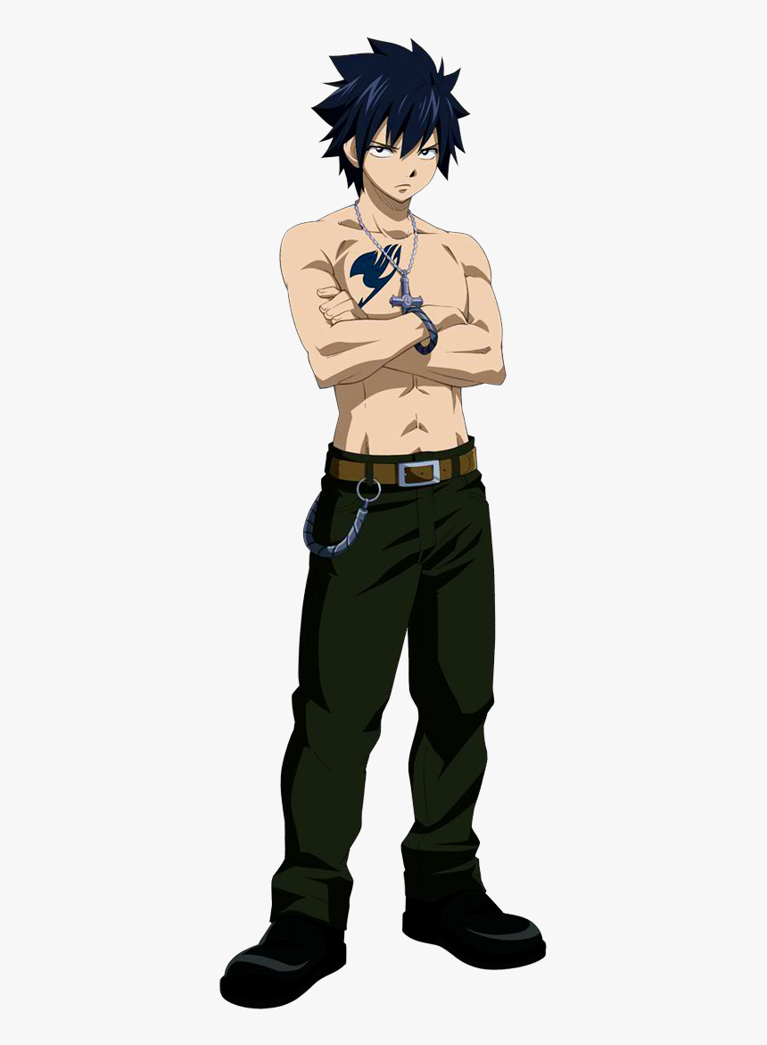 Gray Fairy Tail Png, Transparent Png, Free Download