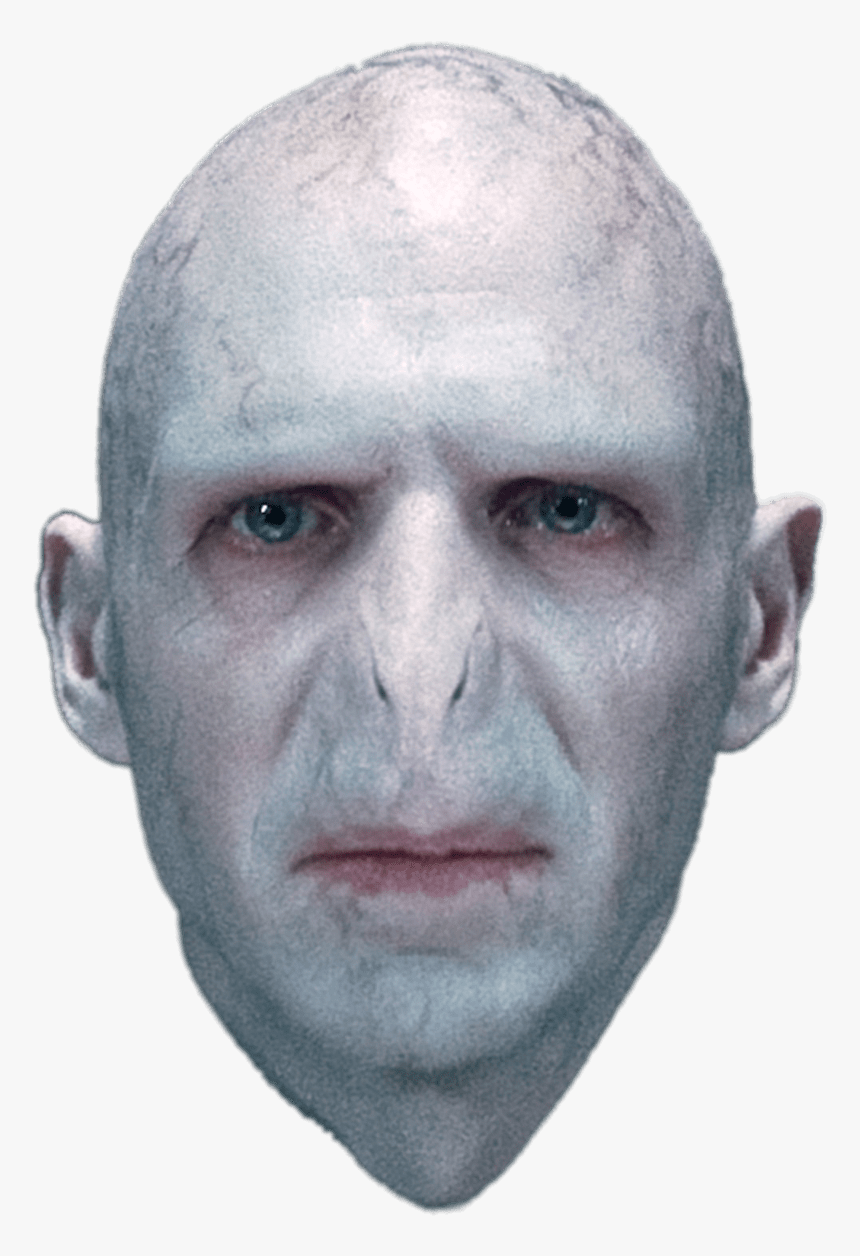 Ralph Fiennes As Lord Voldemort - Lord Voldemort, HD Png Download, Free Download