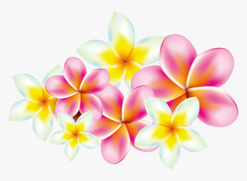 Frangipani Clip Art Transprent - Plumeria Flowers Clip Art, HD Png Download, Free Download