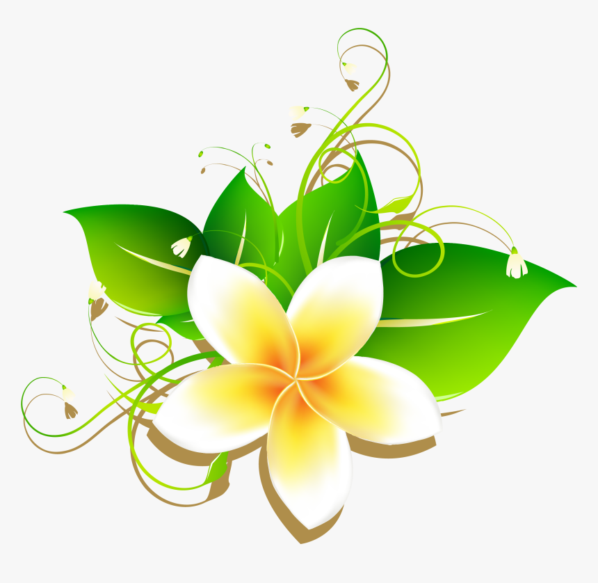 Transparent Plumeria Png - Jasmine Flower Drawing Cartoon, Png Download, Free Download