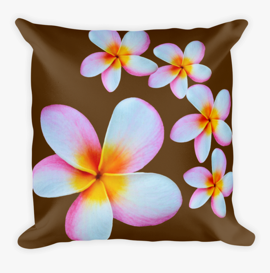 Transparent Plumeria Flower Png - Cushion, Png Download, Free Download