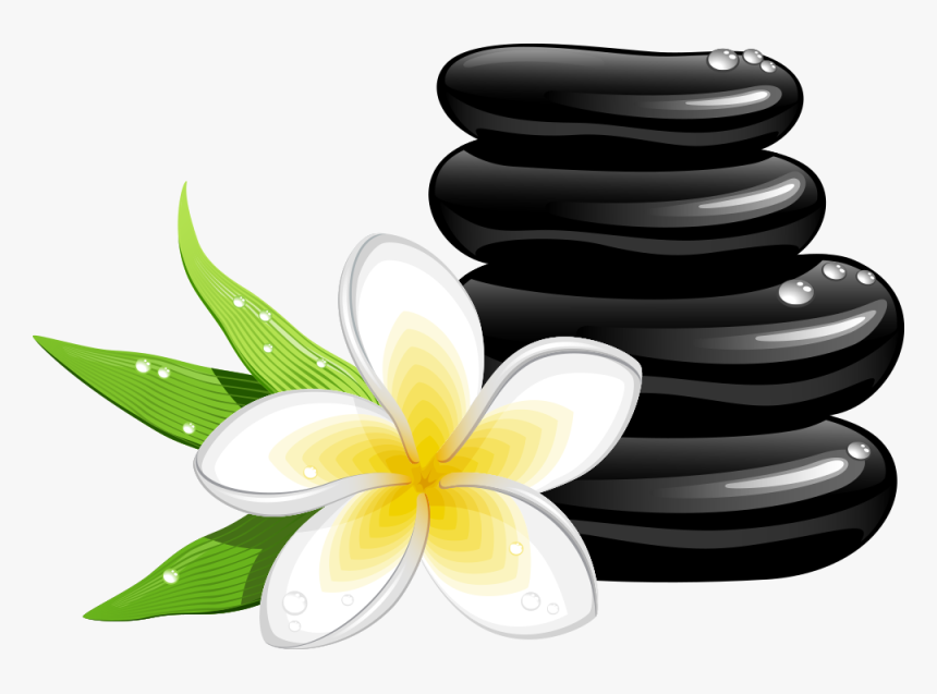 Plumeria Clipart Leaf - Transparent Spa Clip Art, HD Png Download, Free Download