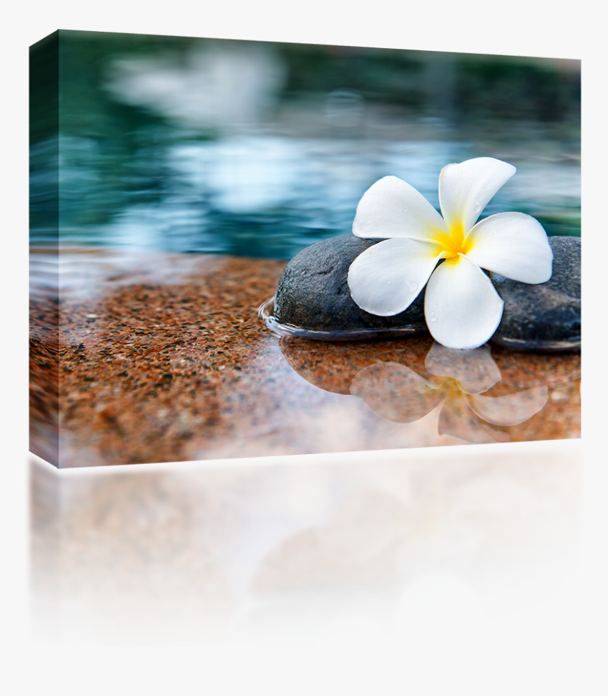 Tranquil Spa, HD Png Download, Free Download