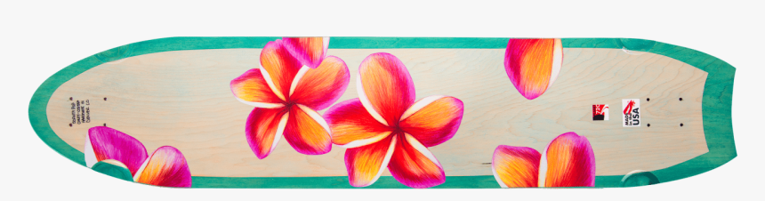 Frangipani, HD Png Download, Free Download