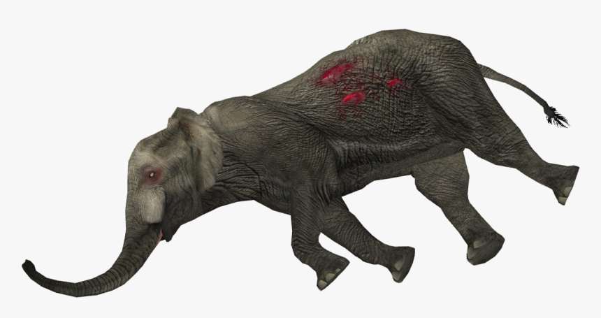 Dead Animal Png, Transparent Png - Dead Animal Png, Png Download, Free Download