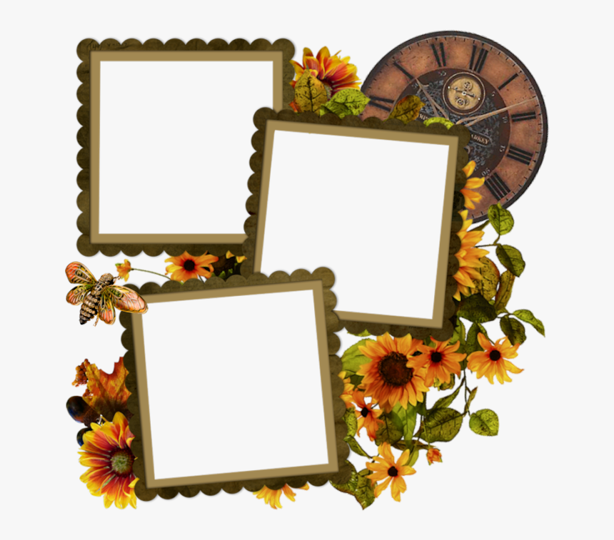 Tubes Cadres,png - Picture Frame, Transparent Png, Free Download