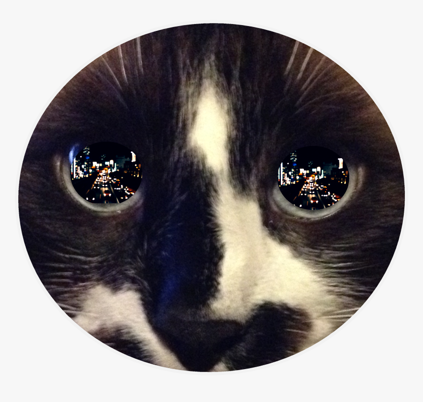 Catseyepoem - Reflection In Cat's Eye, HD Png Download, Free Download