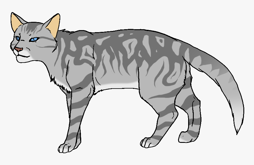 Transparent Cat Eyes Png - Dark Grey Cat With A Black Stripe, Png Download, Free Download