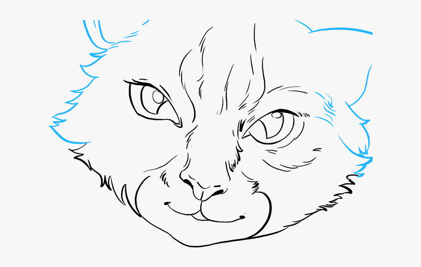 How To Draw Cat Eyes - Realistic Cat Face Icon, HD Png Download, Free Download