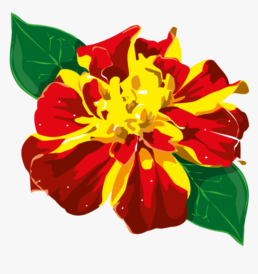 Flor Png, Transparent Png, Free Download