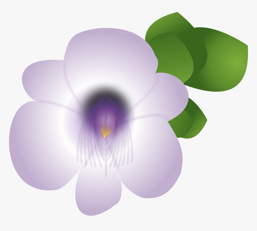 Viola, HD Png Download, Free Download