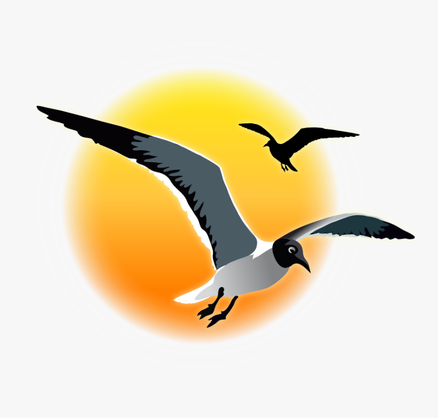 Seagull Sunset Clipart, HD Png Download, Free Download