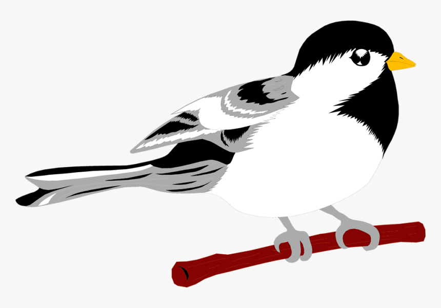 Chinese Bird Clipart - Illustration, HD Png Download, Free Download