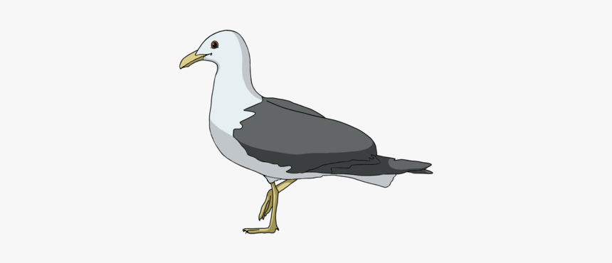 Great Black-backed Gull, HD Png Download, Free Download