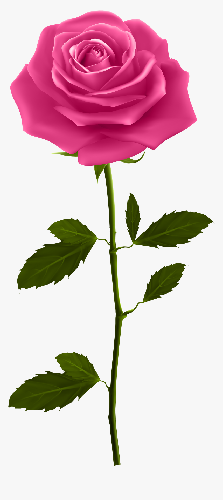 Red Rose Petals Png Download - Pink Rose With Stem, Transparent Png, Free Download