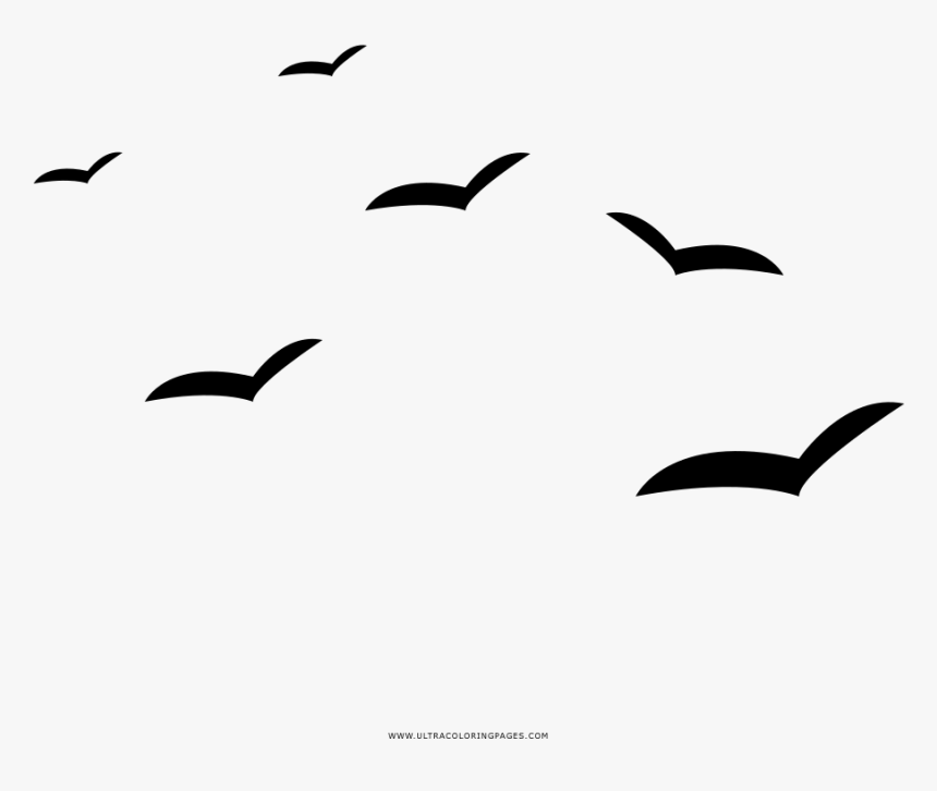 Seagulls Coloring Page - Desenho Gaivota Png, Transparent Png, Free Download
