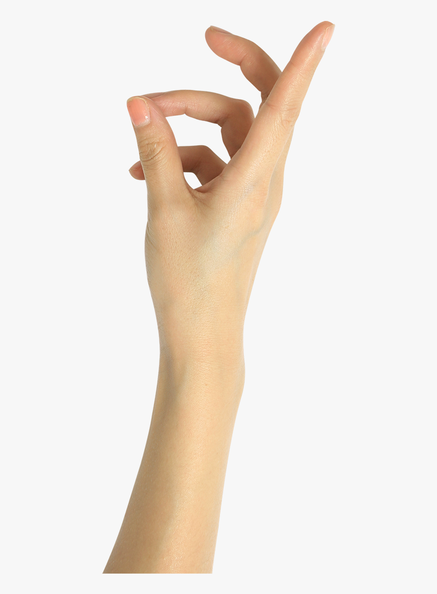 Woman Hand Png - Photo Shoot, Transparent Png, Free Download