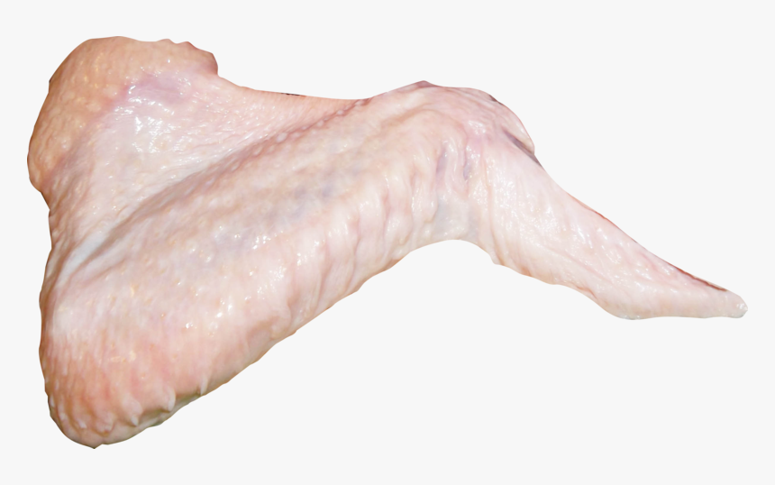 Transparent Raw Chicken Wings Png, Png Download, Free Download