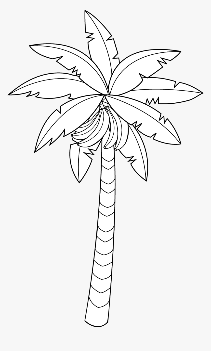 Easy Banana Tree Drawing, HD Png Download, Free Download