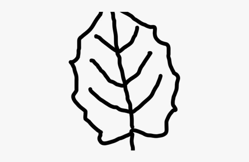 Leaf Outline - Outline Leaf Png Clipart, Transparent Png, Free Download